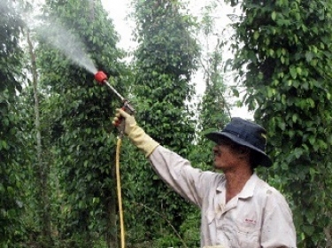 CÁCH PHA TRỘN THUỐC BẢO VỆ THỰC VẬT