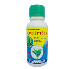 LỤC DIỆP TỐ 1SL – PHÁT RỄ, XANH LÁ, MẬP BÔNG, PHÌ TRÁI