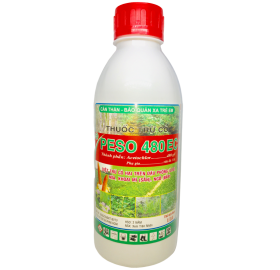 PESO 480EC – DIỆT TRỪ CỎ HẠI TRÊN LẠC (ĐẬU PHỘNG), MÍA, SẮN (KHOAI MÌ), NGÔ (BẮP)
