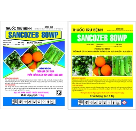 SANCOZEB 80WP – PHÒNG TRỪ BỆNH THỐI QUẢ CÂY CAM, PHẤN TRẮNG CÂY DƯA CHUỘT (DƯA LEO)